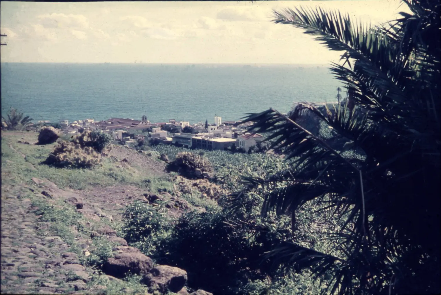 Vista parcial desde El Planto